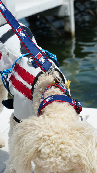 Burgee Ribbon Dog Collar