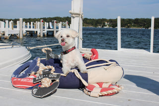 Life Preserver Shaped Pet Bed