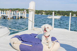 Life Preserver Shaped Pet Bed