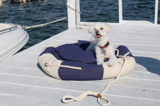 Life Preserver Shaped Pet Bed