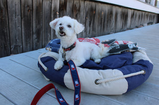 Life Preserver Shaped Pet Bed