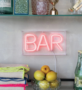 Plastic LED Neon Light