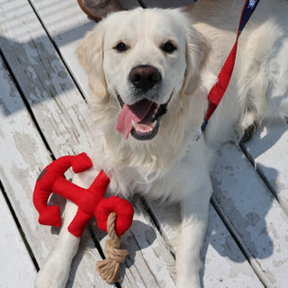 Barbour Anchor Dog Toy