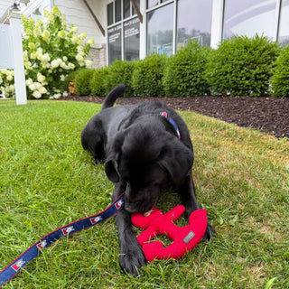 Barbour Anchor Dog Toy